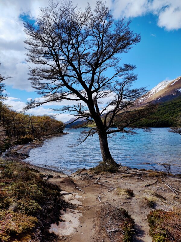 Lago del Desierto - Argentina