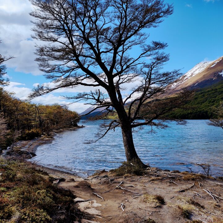 Lago del Desierto - Argentina