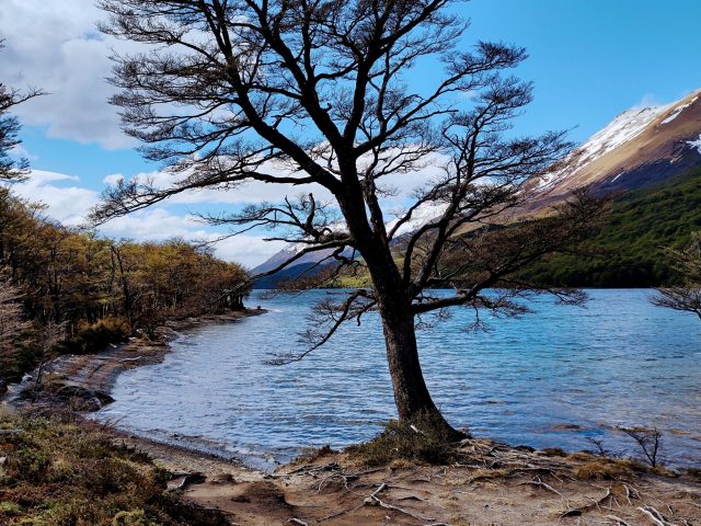 Lago del Desierto - Argentina